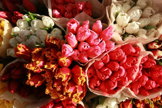 When Is Chinese Valentine’s Day 2025?