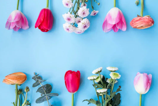 Are there roses and tulips flowers in March season?