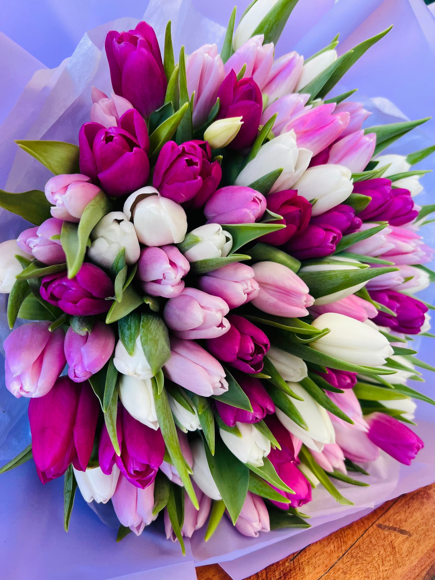 Tulip Bouquet