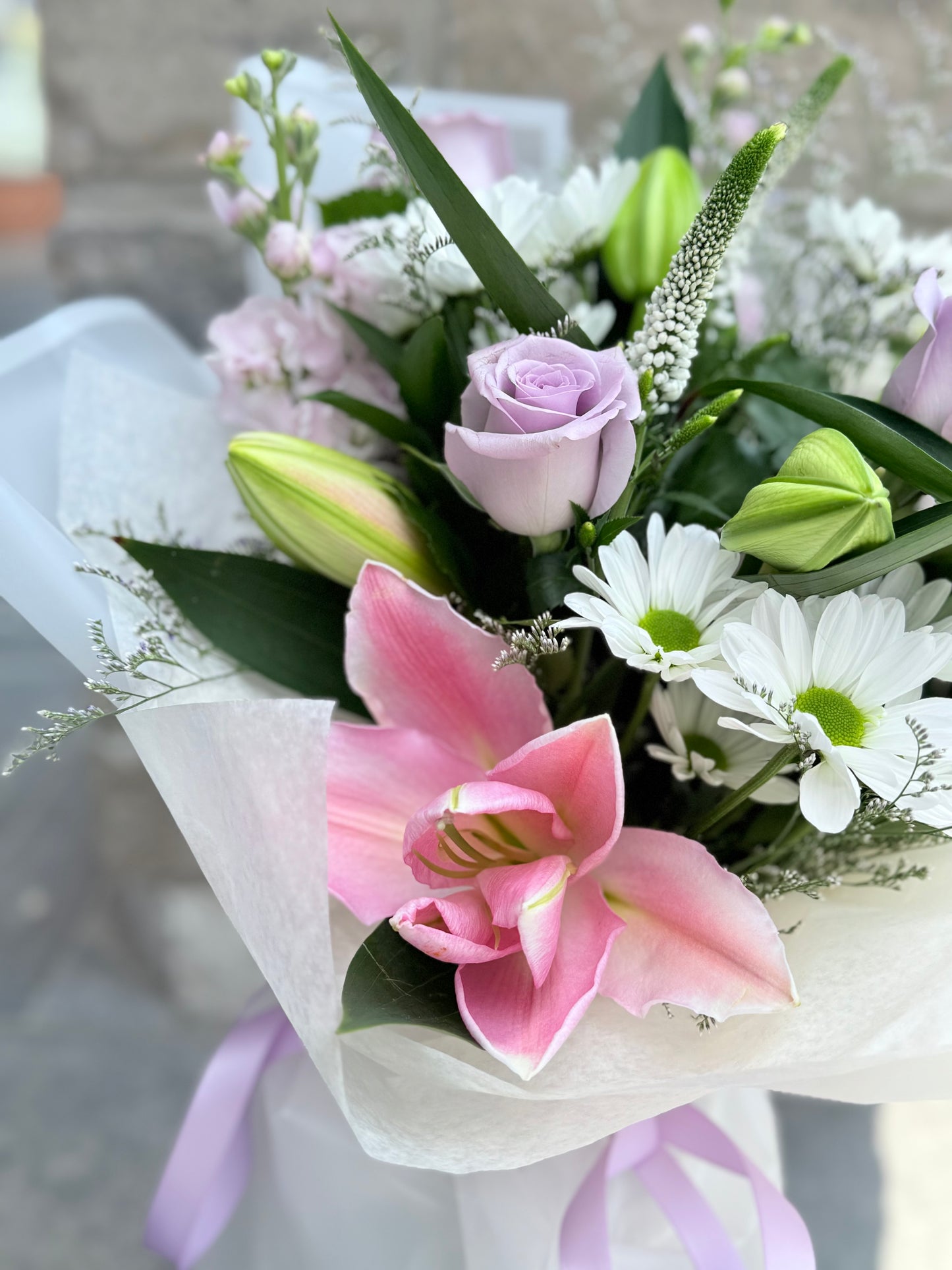 Lily Breeze