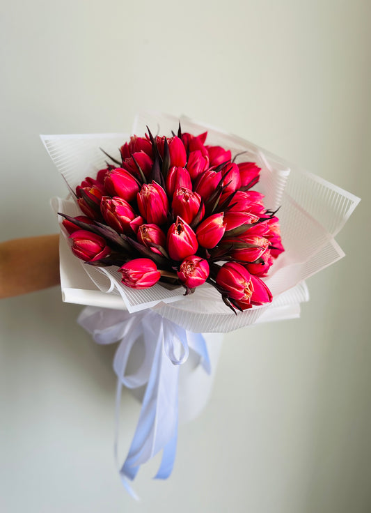 Premium Dutch Tulips - Toy Florist
