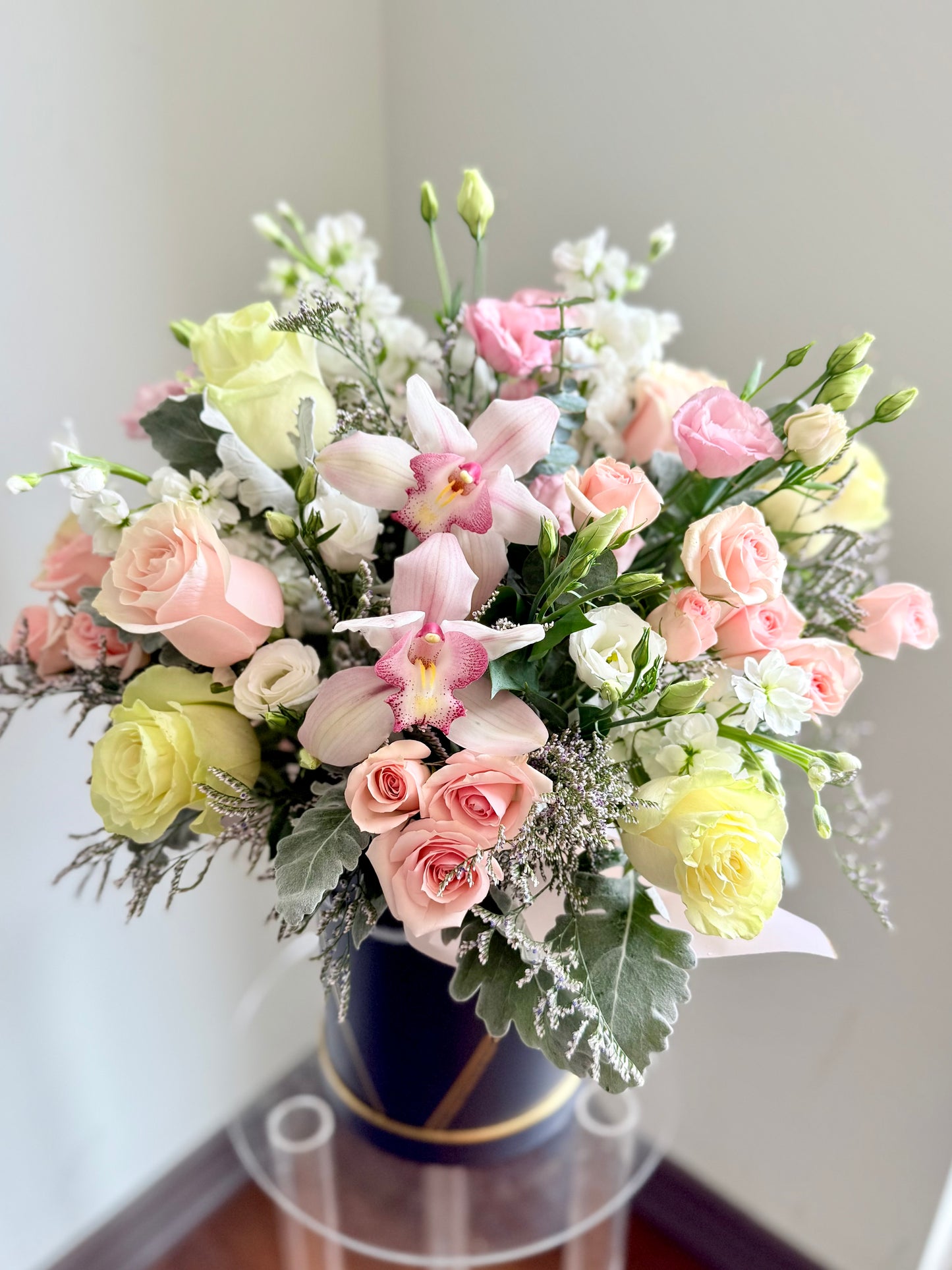 Pastel Dreams