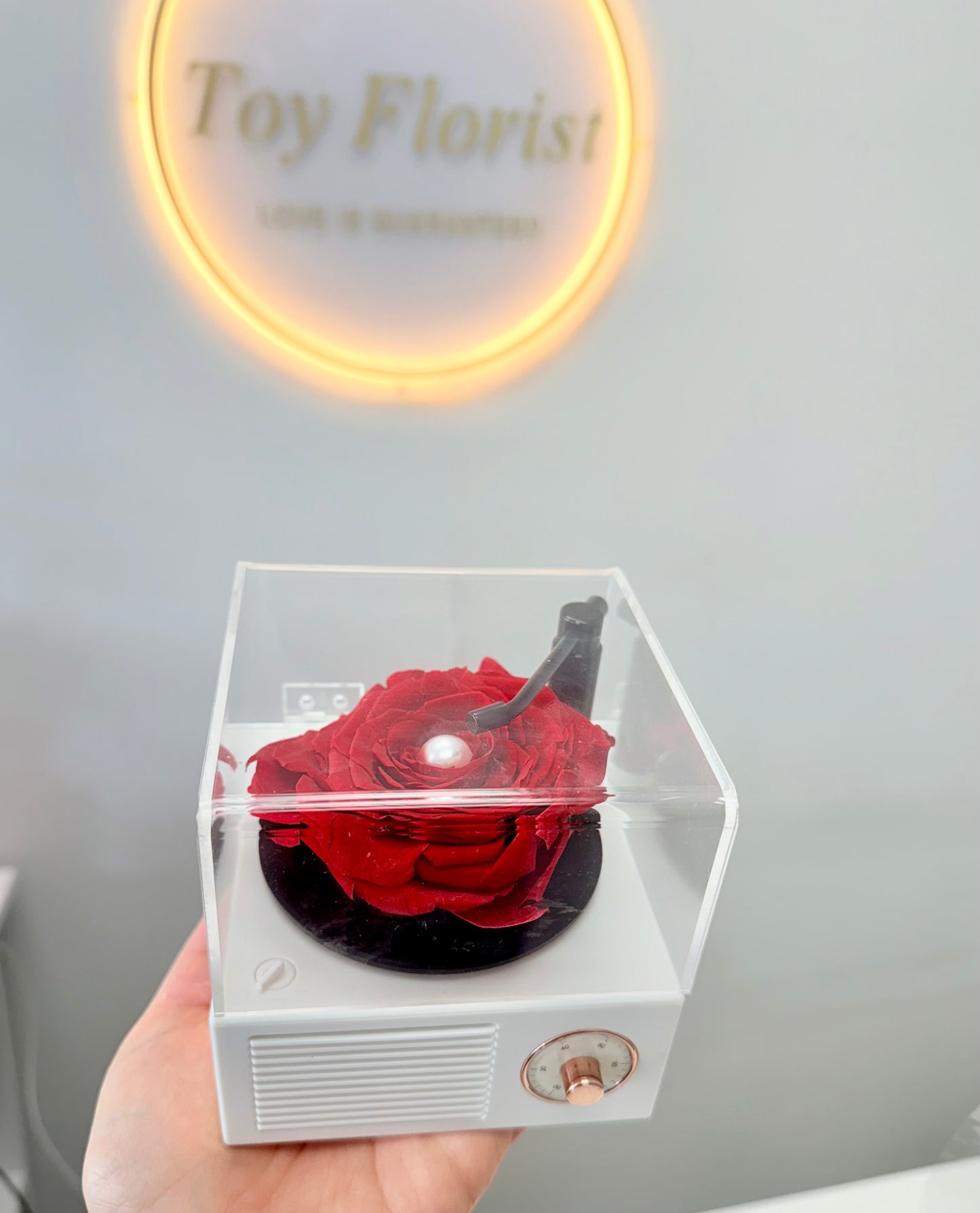 Eternal Love Rose in a Vintage Record Player