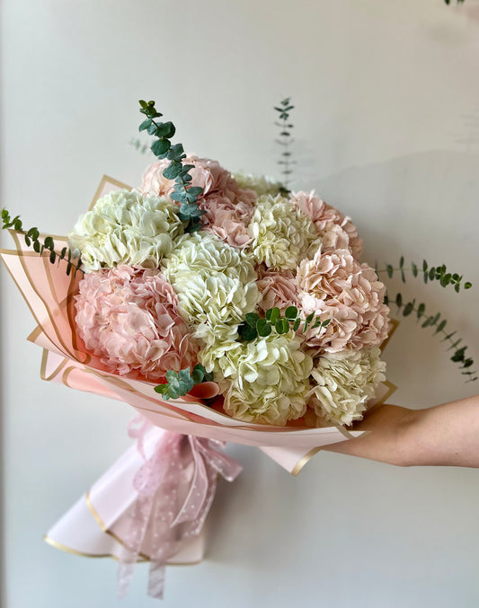 Hydrangea Harmony