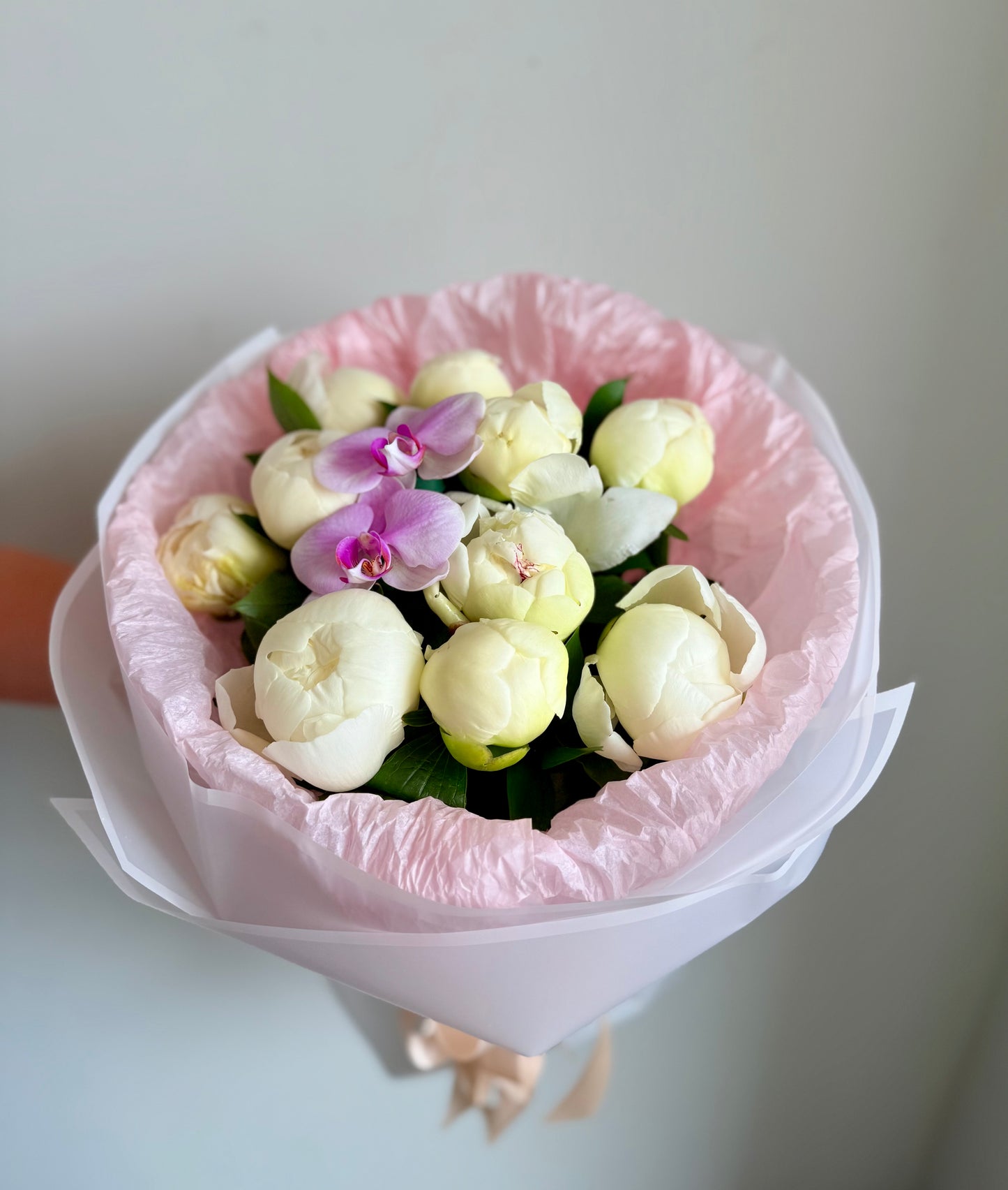 Peonies in Paradise