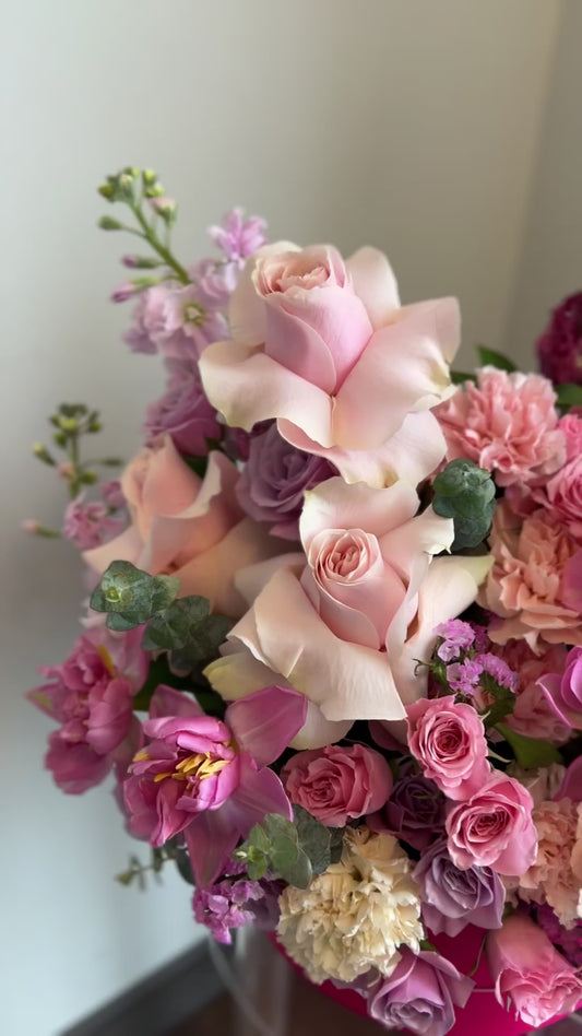 Ensemble of Pink