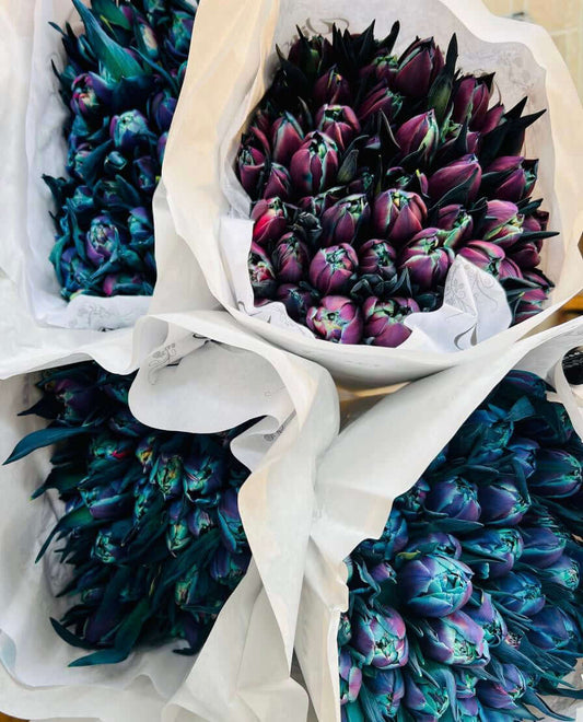 Tulips Moscow Toy Florist Flower Shop Toronto