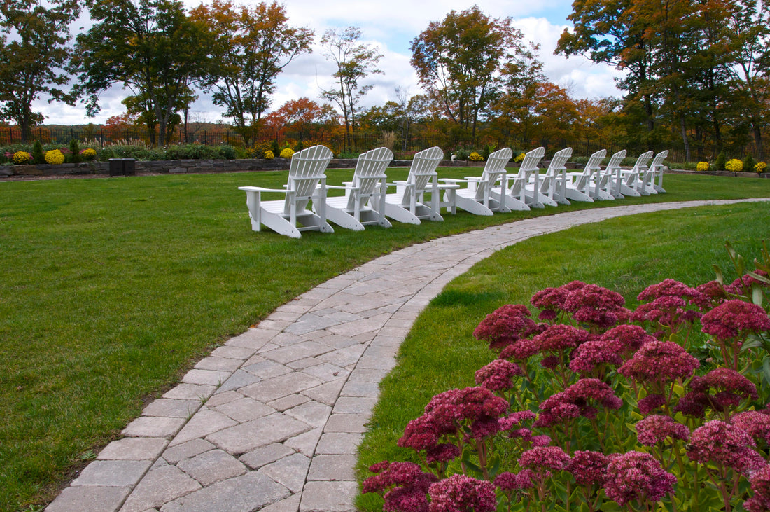Top 10 Parks and Gardens in Toronto To See Spring Blooms