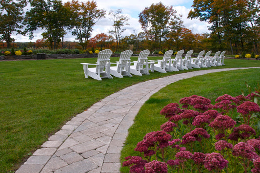 Top 10 Parks and Gardens in Toronto To See Spring Blooms