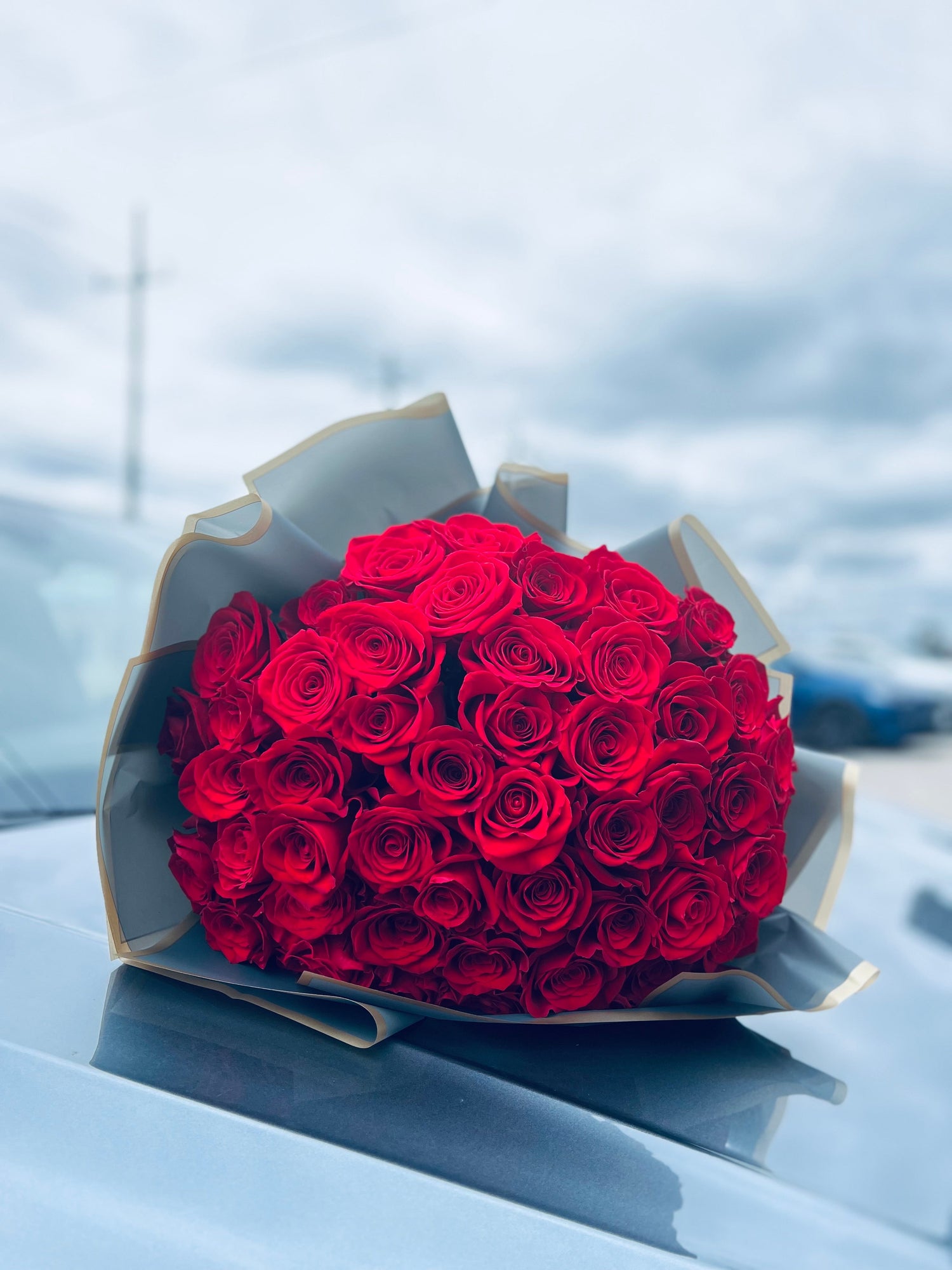 Love Rose