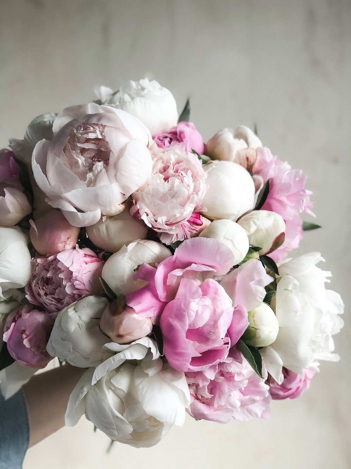 Mothers day flowers Toronto Florist Flower Shop