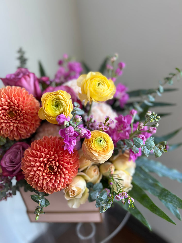 Dahlias Collection