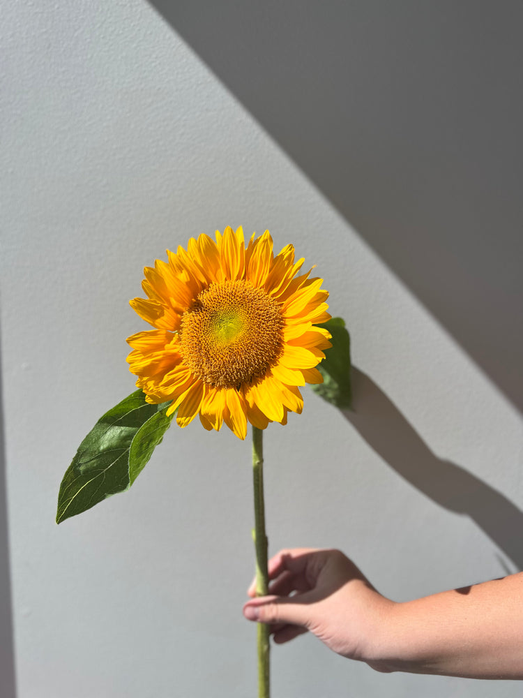 Graduation Flowers