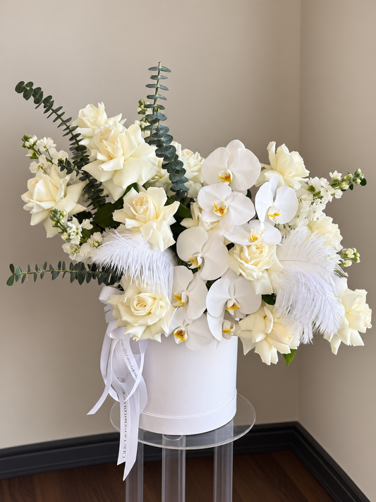 Halo | Toy Florist