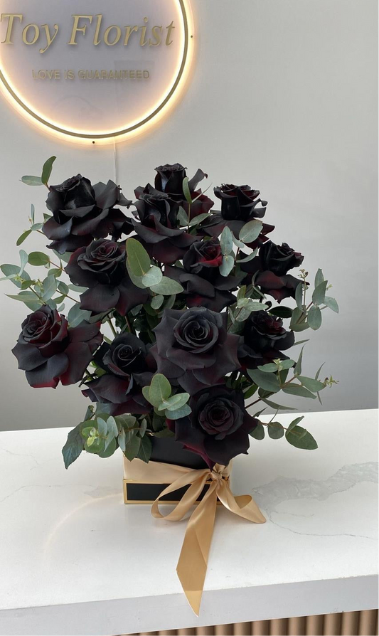 Midnight Elegance
