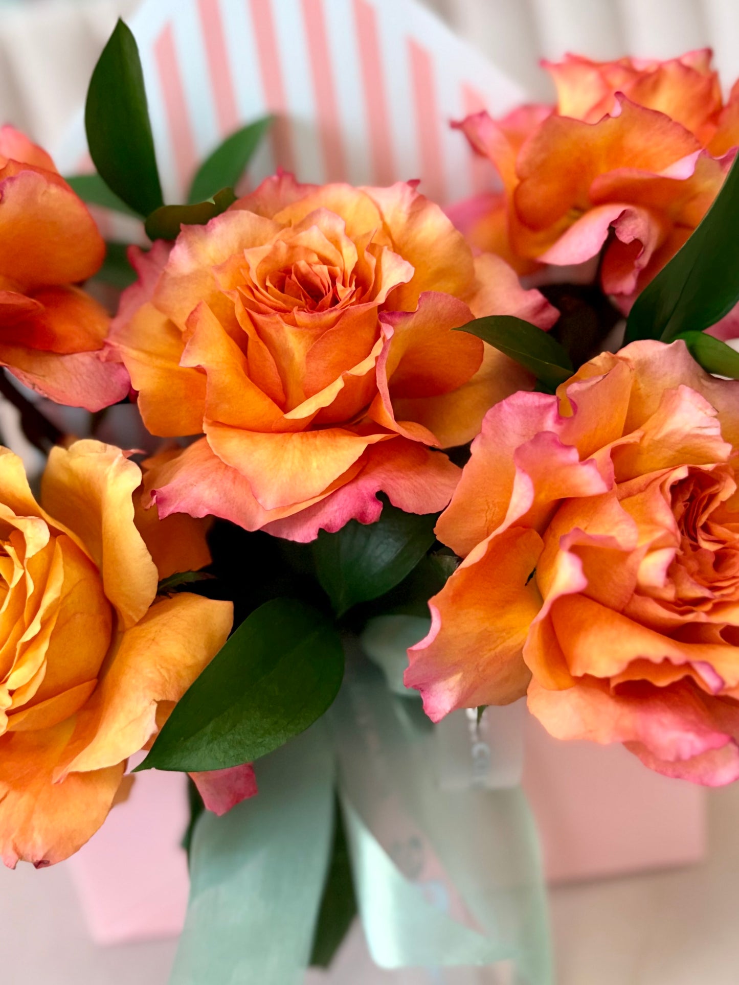 Apricot Rose Signature