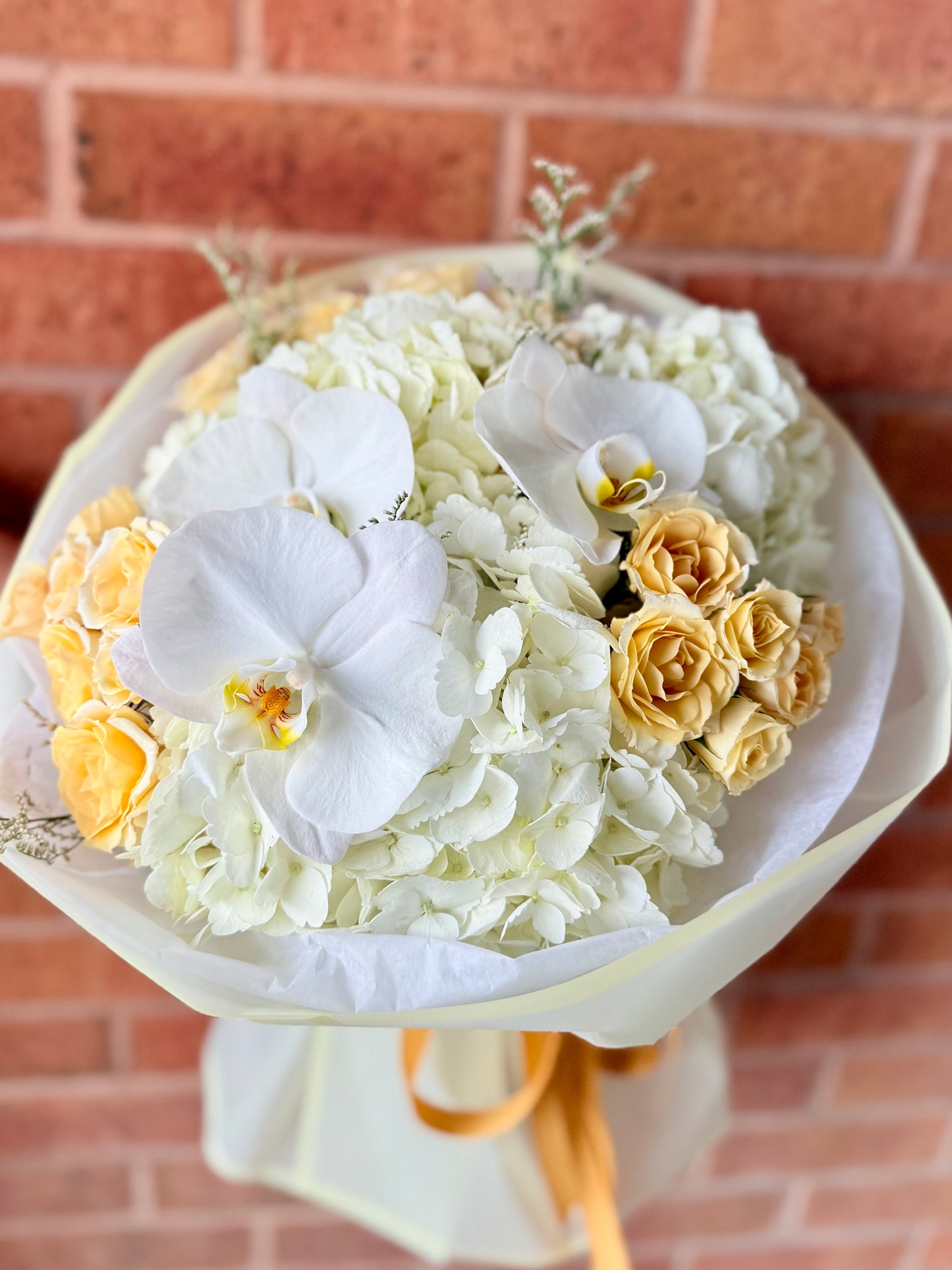 Cream & Orchid