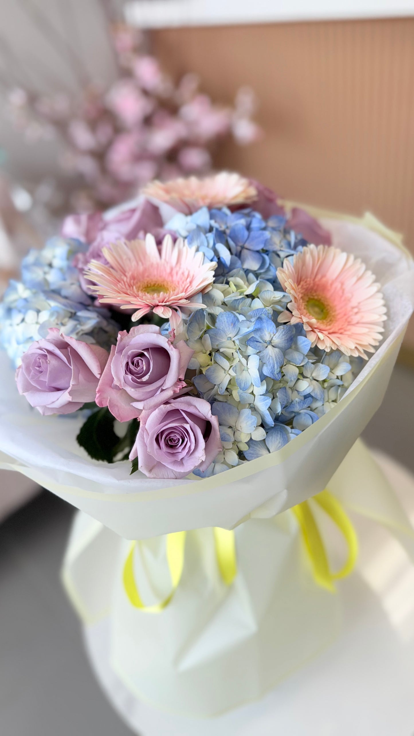 Lumière Bloom