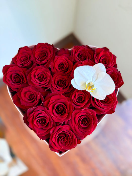 Bloom Affair