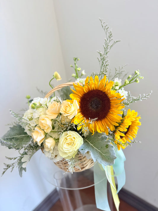 Soft Sunshine