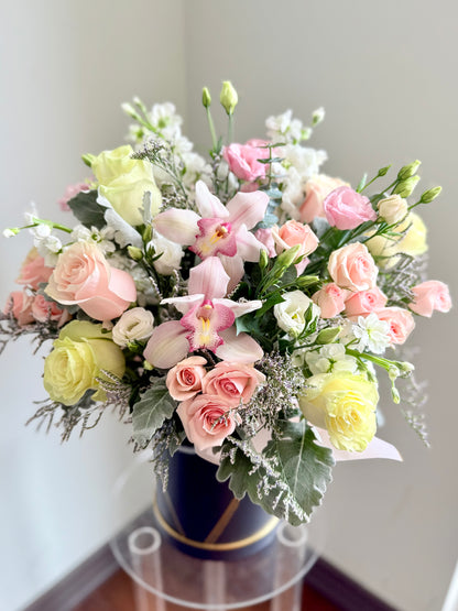 Pastel Dreams