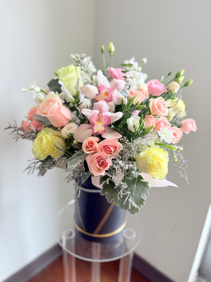 Pastel Dreams