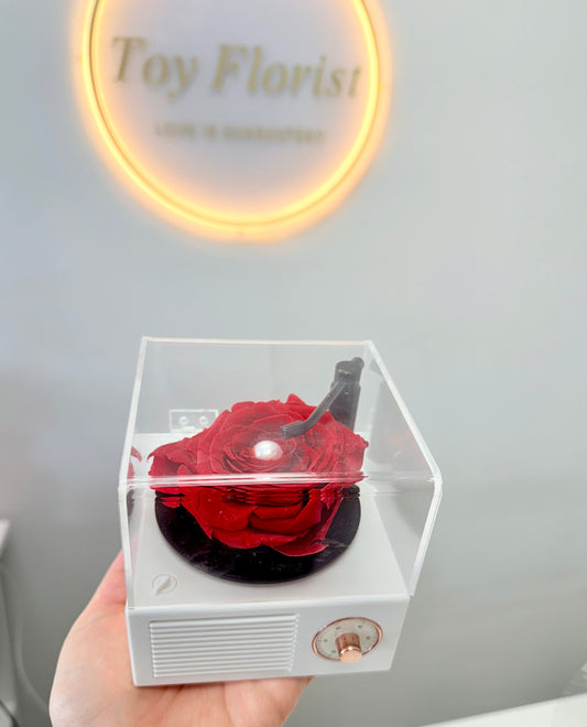 Eternal Love Rose in a Vintage Record Player