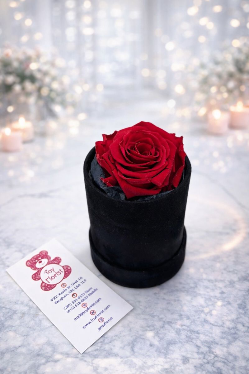 Eternal Rose in Velvet Box (Red)
