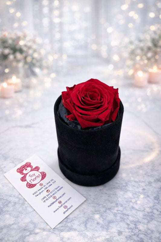 Eternal Rose in Velvet Box (Red)