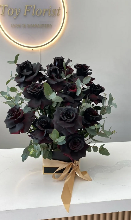 Midnight Elegance