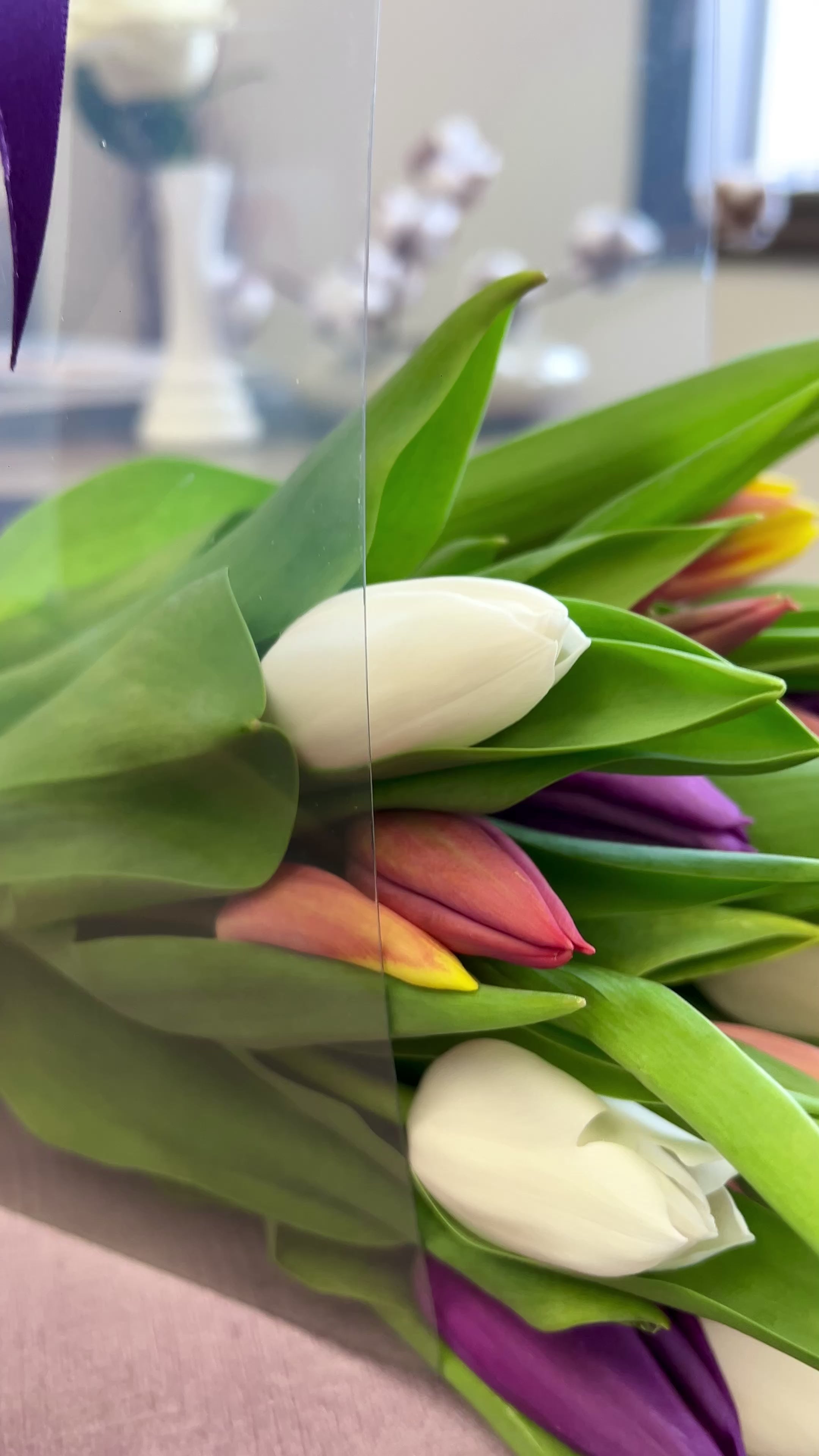 Tulip Bouquet | Flower Delivery Toronto | Same Day Delivery | Toy