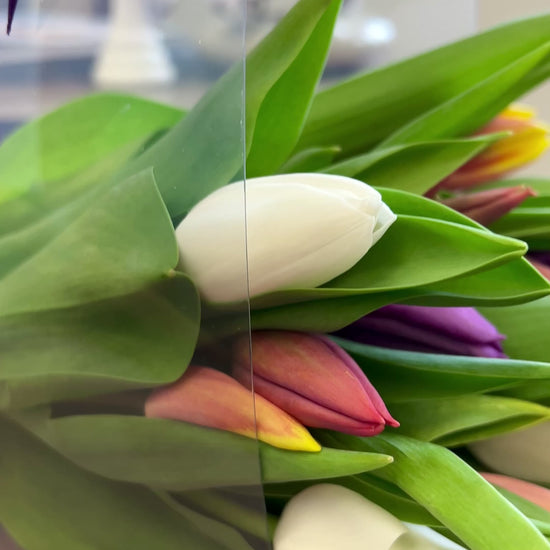  Tulip bouquet 