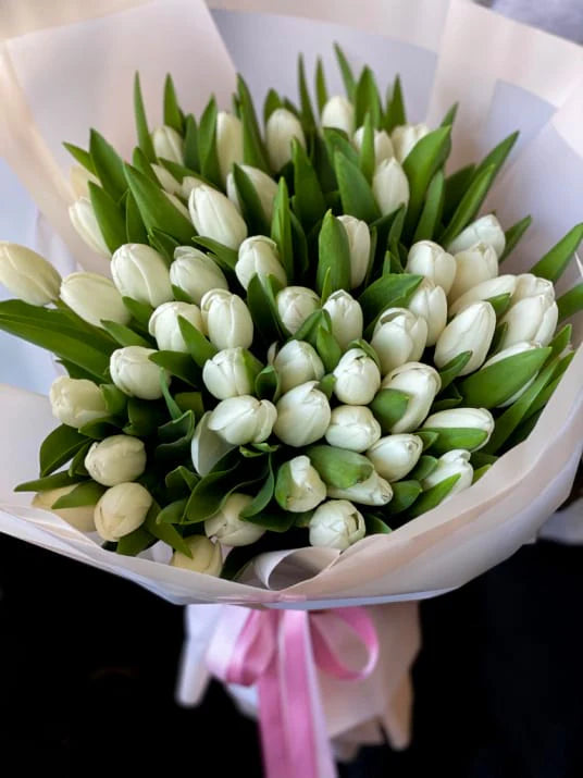white tulip white tulips toy florist